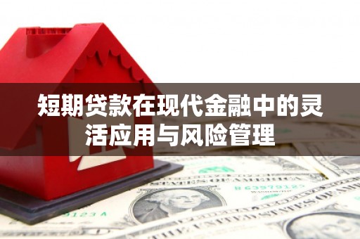 乌拉特后旗短期贷款在现代金融中的灵活应用与风险管理