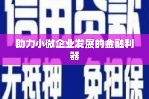 乌拉特后旗助力小微企业发展的金融利器