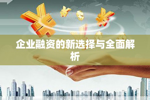 乌拉特后旗企业融资的新选择与全面解析
