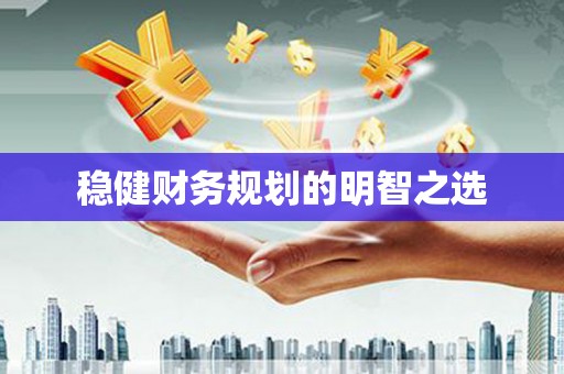 乌拉特后旗稳健财务规划的明智之选