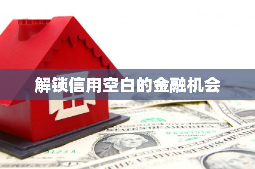 乌拉特后旗解锁信用空白的金融机会
