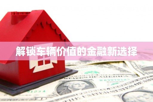 乌拉特后旗解锁车辆价值的金融新选择