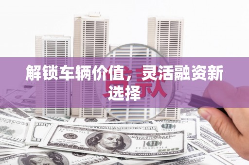 乌拉特后旗解锁车辆价值，灵活融资新选择