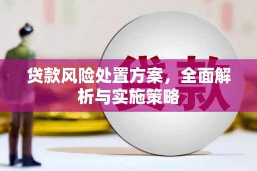 乌拉特后旗贷款风险处置方案，全面解析与实施策略