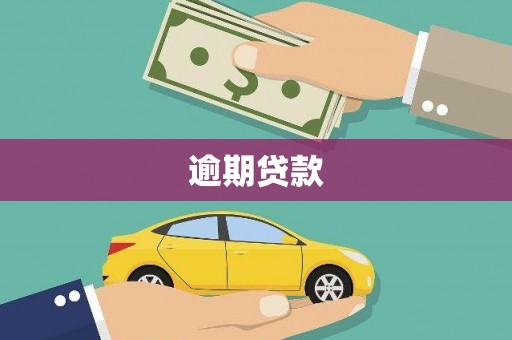 乌拉特后旗逾期贷款